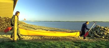 Kayaking  on the Lower Murray Lakes