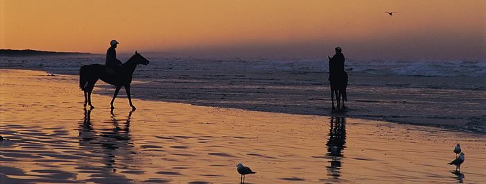Horseriding on the beach.